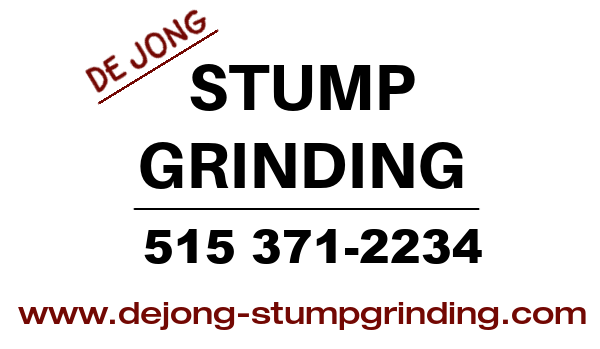DeJong Stump 'Grinding logo 5004